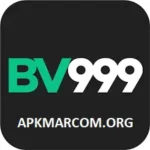 BV999