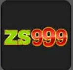 ZS999
