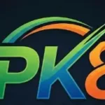 Pk 8