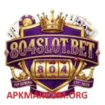 804Slot